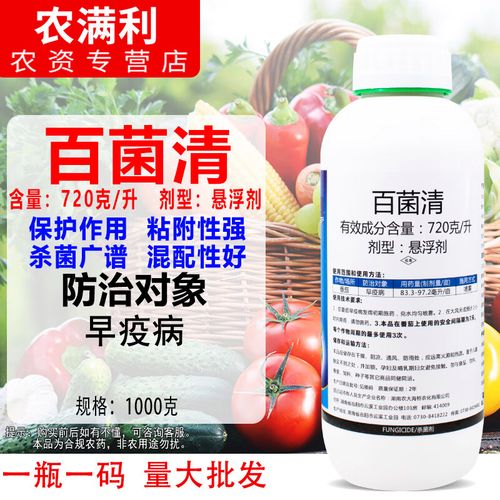 锐盾720克/升百菌清杀菌剂 番茄早疫病的专业防治方案