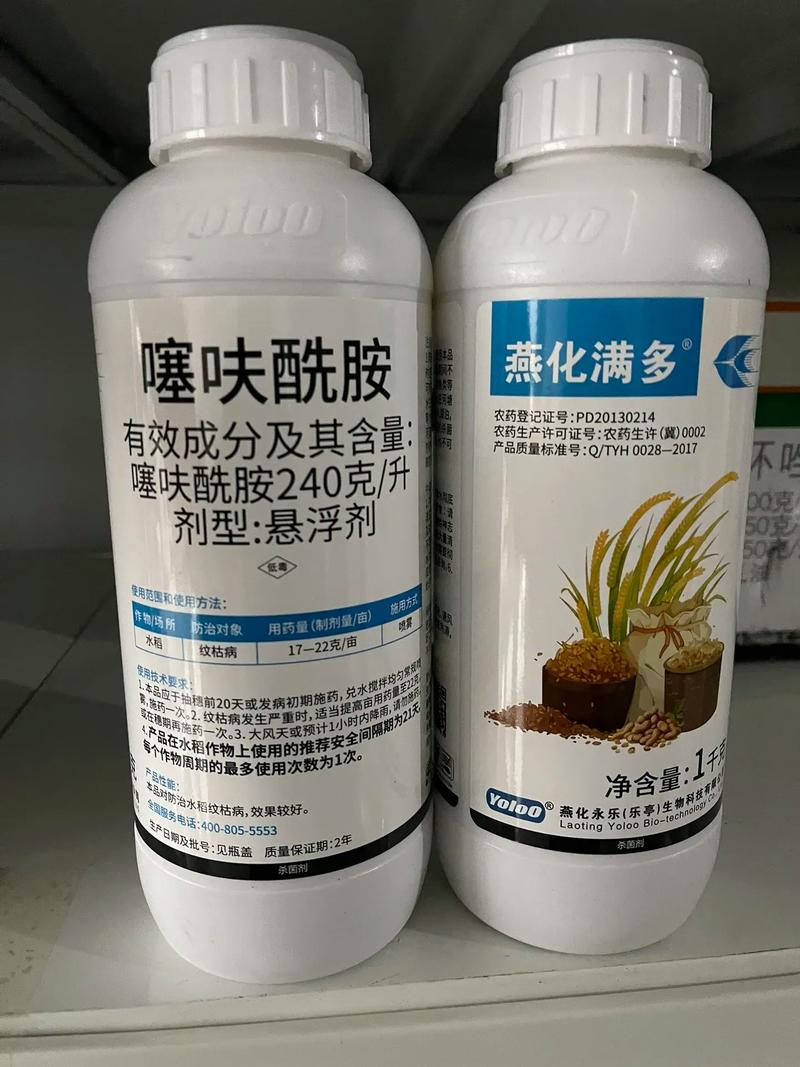 小麦杀菌剂与种衣剂的科学应用 保护作物从播种开始