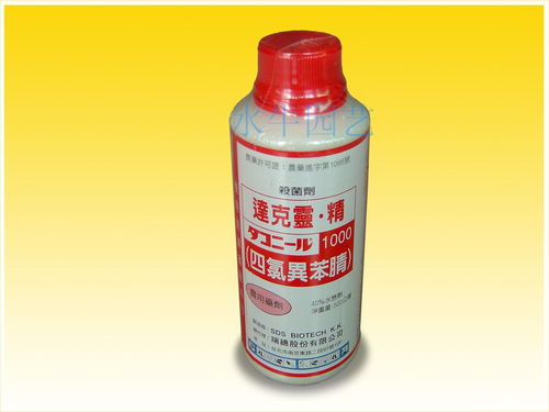 专业防治兰花叶斑病 达克灵精杀菌剂使用全指南