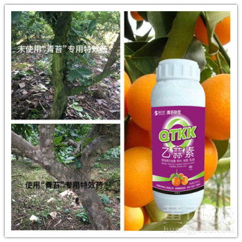 果树病害防治指南 广谱杀菌剂乙蒜素的应用与优势
